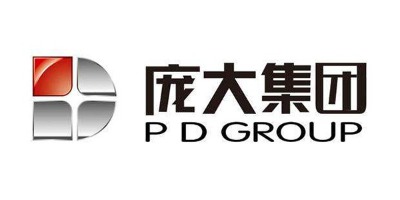 全管通客戶(hù)-龐大集團(tuán)